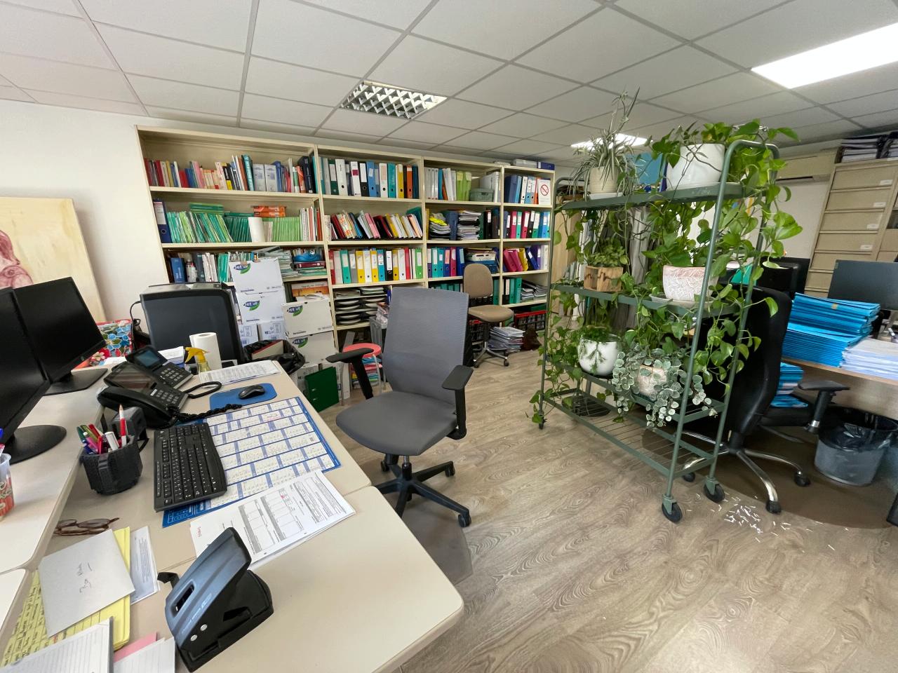 Bureau Toulouse 97m² Location bureau Toulouse Haute-Garonne OLBUR2532233 4